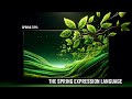 Spring Tips: the Spring Expression Language