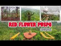 Jalan-Jalan ke Red Flower Puspo, Pasuruan I New Normal