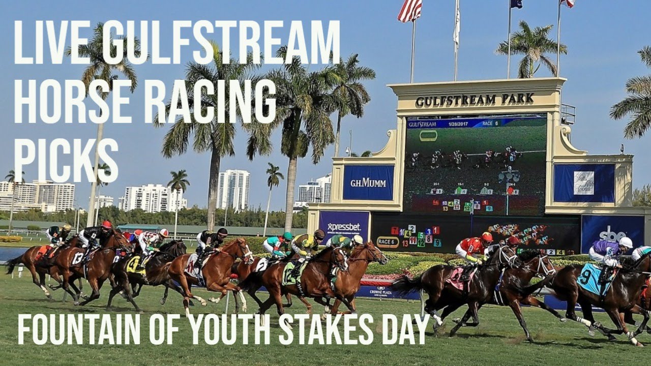 Live Gulfstream Horse Racing Picks Fountain Of Youth Stakes Day Youtube