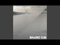 Bransles et Variations Anachroniques: I. Beltz