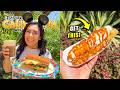 ✨ NEW 2026 Disney California Adventure Park FOODS! | Oogie Boogie Bash 2026 Updates, Merch + MORE!