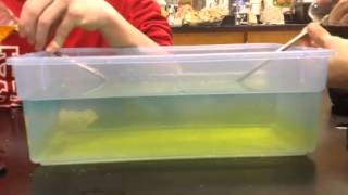 Time lapse salinity lab