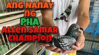 ANG NANAY NG PHA ALLEN SAMAR CHAMPION |Reggie Cruz Loft & Aviary #SOUTHDERBYRACE #REGGIECRUZLOFT