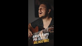 Arlindo Cruz - Ainda é tempo pra ser feliz (cover)