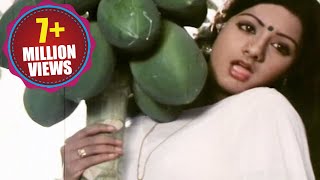 Padaharella Vayasu Songs - Sirimalle Puvva - Sridevi