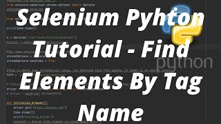 Selenium Pyhton Tutorial - Find Elements By Tag Name