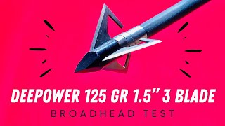 AMAZING VALUE & HIGH SCORE: Deepower 125 gr 1.5