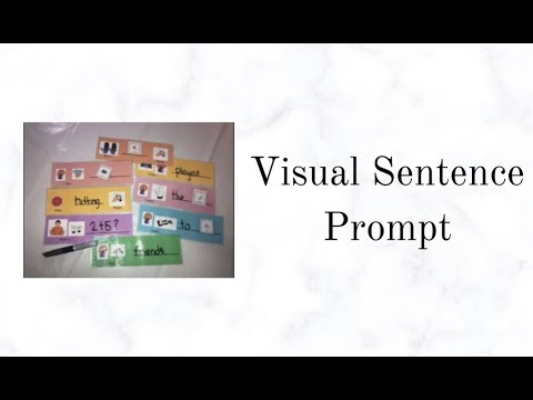 What is a sentence for visual?