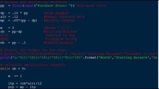 Amortization Schedule WhileLoop Formating