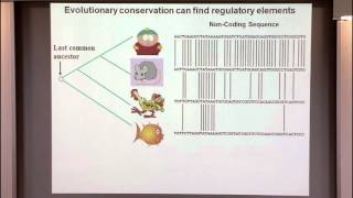 Introduction to Regulatory Genomics and Epigenomics I: Intro to the Biology of Gene Regulation