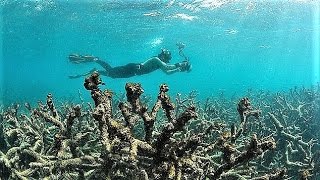 9 Worst Environmental Disasters