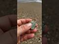 Green sea tile find #beachcombing #seaglasshunting #seaglass