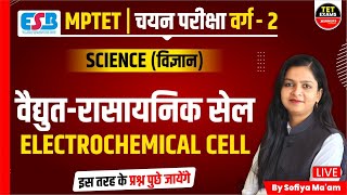 SCIENCE | MPTET 2023 | MPTET वर्ग 2 चयन परीक्षा | MPTET VARG 2 MAIN EXAM 2023 | MPTET वर्ग 2 SCIENCE