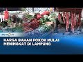 Harga Minyak dan Kebutuhan Pokok di Lampung Meningkat