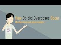 How Opioid Overdoses Occur - Mechanism and Interventions