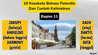 10 Kosakata Random Bahasa Polandia Beserta Contoh Kalimatnya (Bagian 11) #bahasapolandia #polski