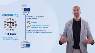 Demystifying comitology - understanding the EU's regulatory decision-making process