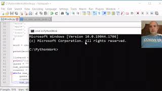 Make Wordle with Python: While you were guessing...