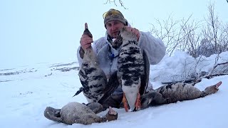 ОХОТА НА ГУСЯ НА КРАЙНЕМ СЕВЕРЕ \\ Goose hunting