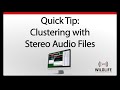 Kaleidoscope Pro Quick Tip: Clustering with Stereo Audio Files | Identify and Analyze Animal Sounds