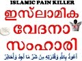 ISLAMIC PAIN KILLER BY SHAHEED MUHSIN