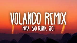 Mora x Bad Bunny x Sech - Volando Remix