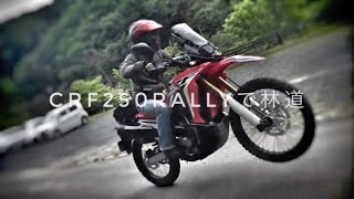 CRF250Rallyで林道with トリッカー&Dobby