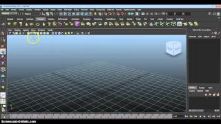 02 : POLYGON PRIMITIVES