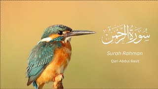 Quran | Surah Rahman | Beautiful Quranic Recitation