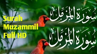 Surah Muzammil Full II  With Arabic Text (HD) سورہ مزمل
