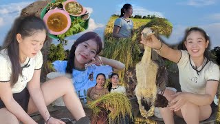 เกี่ยวข้าว 🌾🌾วันที่ 2 ของน้องฟิล์ม🙋‍♀️🥰น้าการ์ตูน รับบทเป็นแม่ครัว วันนี้#สาวผู้ไทย #สาวลาว #นอ้งฟีม