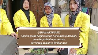 Praktikum IPA di SD : Ciri-ciri Makhluk Hidup (Gerak Pada Tumbuhan)