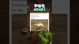 Cutest PET Memes