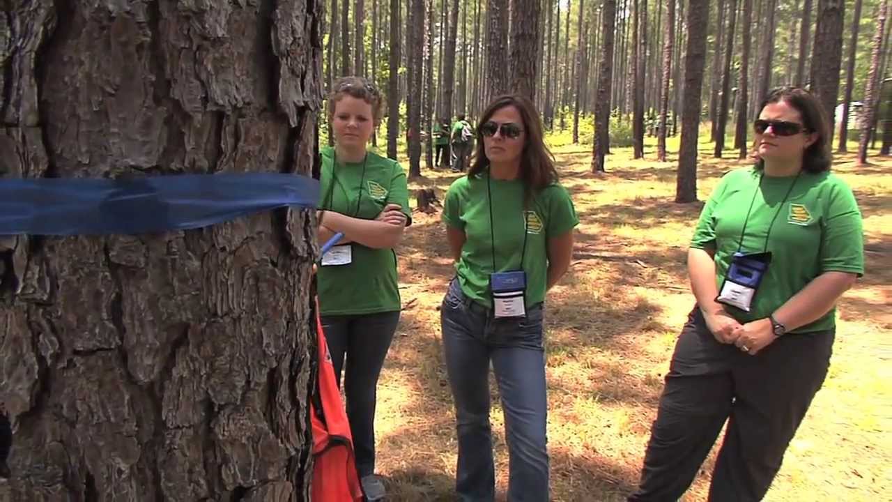 UGA, Georgia Forestry Association Educate Teachers About Forestry - YouTube