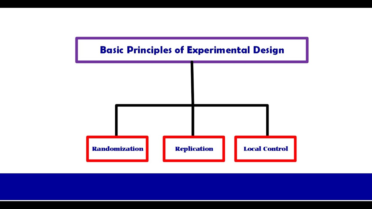 Principles Of Experimental Design Design Talk