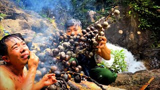 QUẢ ĐỘ.C DÍNH VÀO NGƯỜI , LÀM MÓN ĂN TỪ MỘT LOÀI QUẢ NGỨA NHẤT RỪNG , RỪNG CAMPUCHIA P5