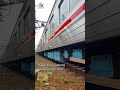 KRL Japan Railway 205 27