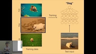 Understanding Black-box Predictions via Influence Functions