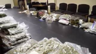 New Hanover County Sheriff's Vice unit marijuana bust 1