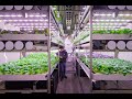 Brightbox Expert Center -  creating a unique learning environment for indoor farming