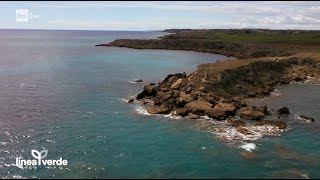 Costa dei Saraceni: la Calabria che emoziona