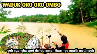 SPOT BARU WADUK ORO ORO OMBO❗ternyata spot dekat rumah ada ikan melimpah‼️MANCING NILA LIARAN