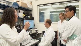 Increasing STEM Diversity through Mentoring