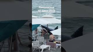 #лазаревское #сочи #2023  человек в пасти акулы на центральном пляже