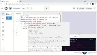 Possible Errors in using variables in Python (Python Turtle)