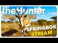 🔴 Springbok Stream: Gettin all sweaty in the savanna with Pablo | theHunter: Call of the Wild