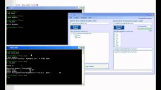 BugFighter C/C++ gcc C Multidimensional Array Buffer Underflow