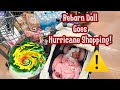 Hurricane Is Coming! Reborn Doll Walmart Outing!