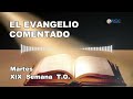 El Evangelio comentado 13 de Agosto