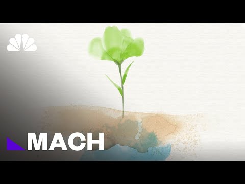 How is life on earth dependent on plants?